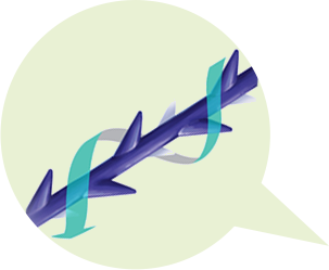 흡수성 고정장치에 고정